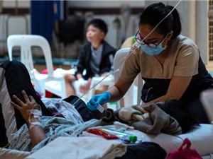 Tỷ lệ huyết thanh nhiễm xoắn khuẩn vàng da khá cao ở bệnh nhân Việt Nam